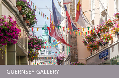 Gallery.